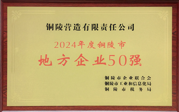 2024年度地方企业50强