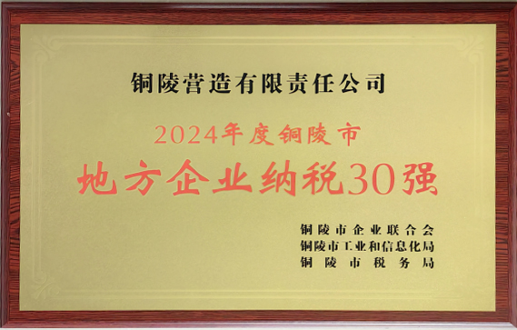 2024年度地方企业纳税30强