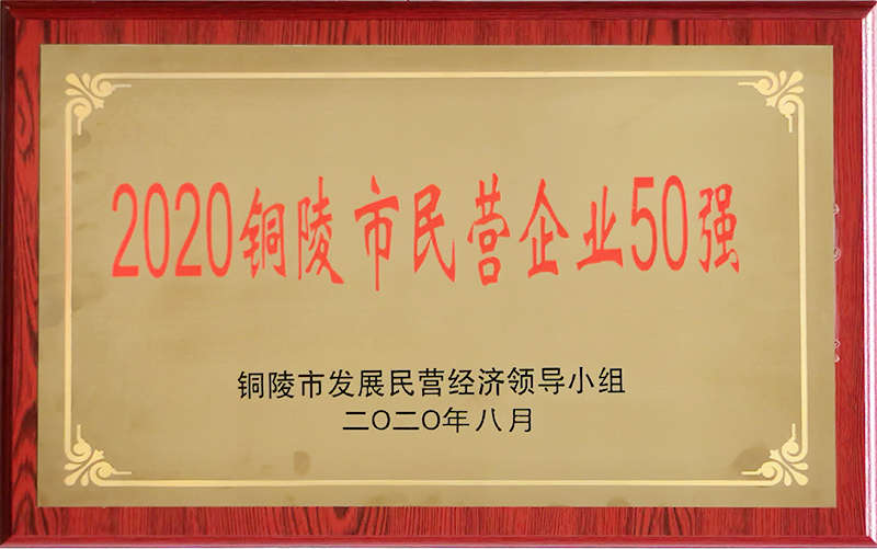 2020年铜陵市民营企业50强