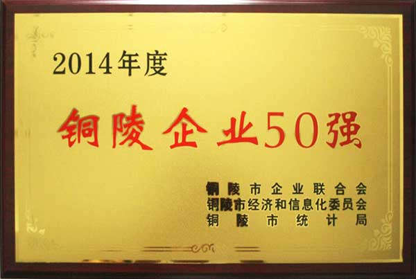 2014年铜陵市地方企业“50强”称号