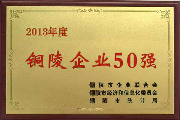 2013年度铜陵企业50强