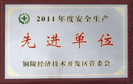 2011年度安全生产先进单位
