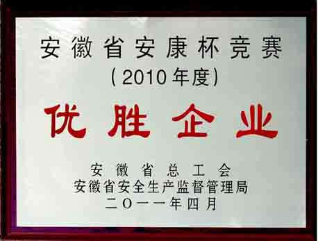 2010年安徽省安康杯竞赛优胜企业