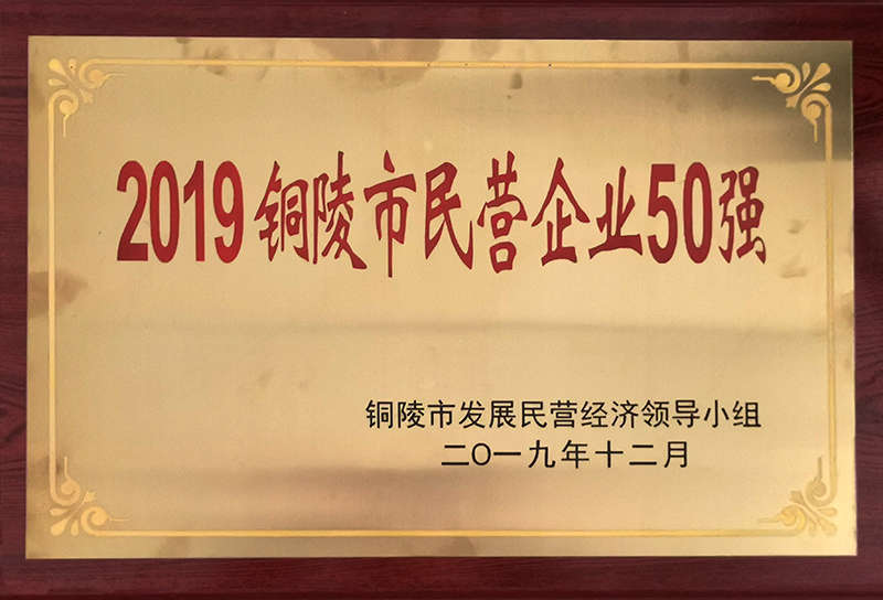 公司获评“2019铜陵市民营企业50强”